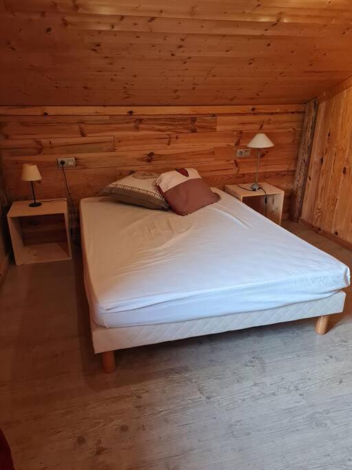 Chalet Familial - Pyrenees, Au Coeur Des 3 Stations La Cabanasse 외부 사진