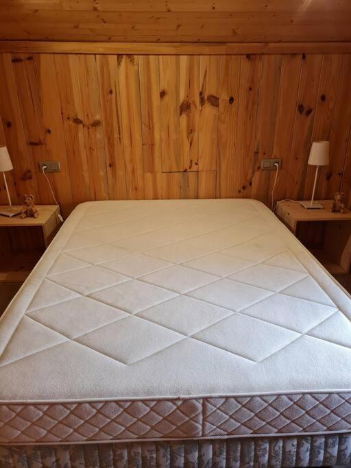 Chalet Familial - Pyrenees, Au Coeur Des 3 Stations La Cabanasse 외부 사진